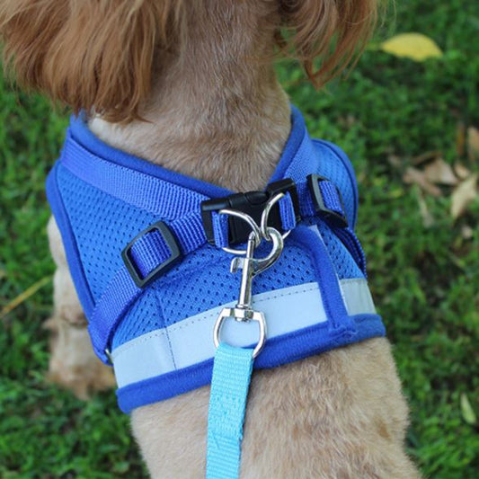 Adjustable Mesh Comfort Dog Harness With Lead(Available in multiple sizes and colours)