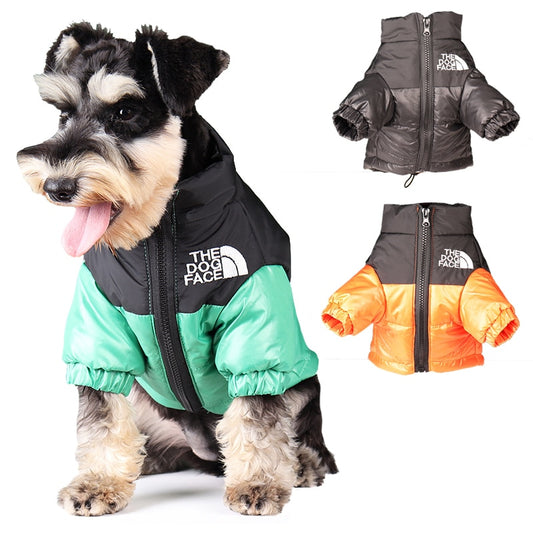 Dogs Windproof Showerproof Reflective On Trend Jacket